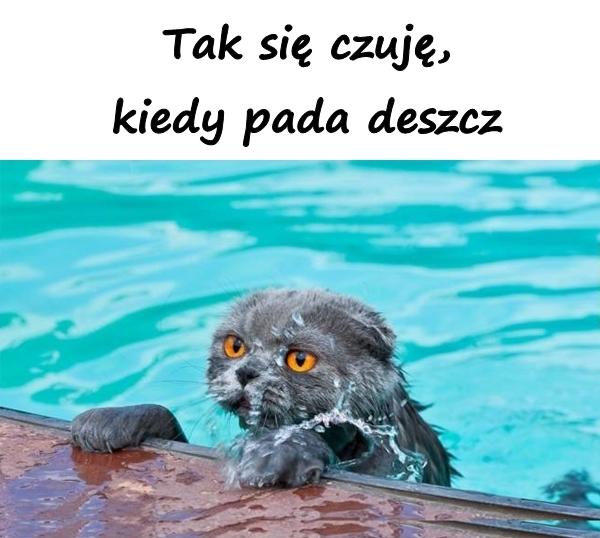 Tak się czuję, kiedy pada deszcz