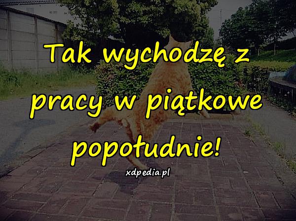 Tak wychodzę z pracy w piątkowe popołudnie