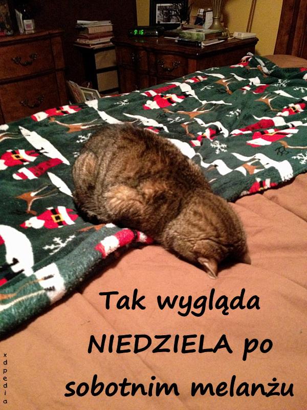 Tak wygląda NIEDZIELA po sobotnim melanżu