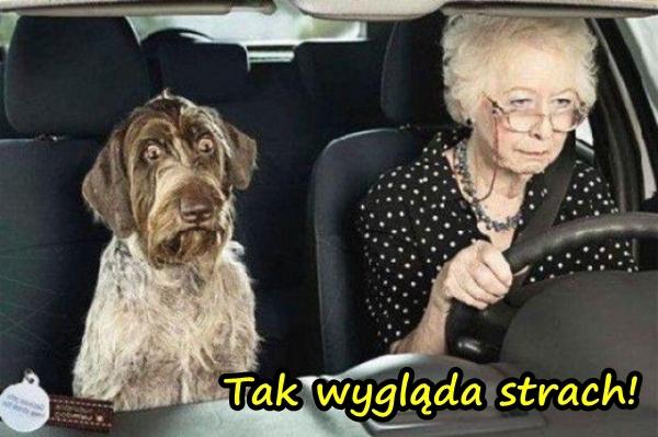 Tak wygląda strach