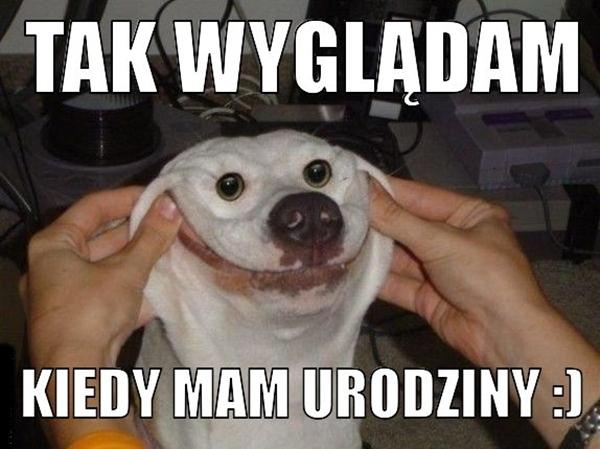 Tak wyglądam kiedy mam urodziny