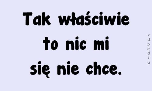 Tak właściwie to nic mi się nie chce