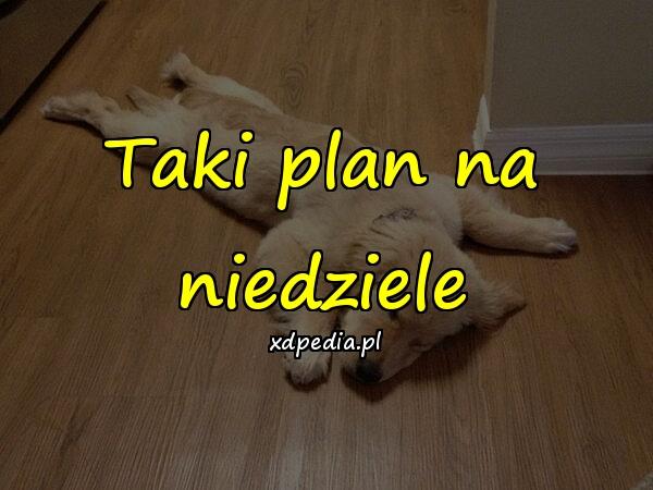 Taki plan na niedziele