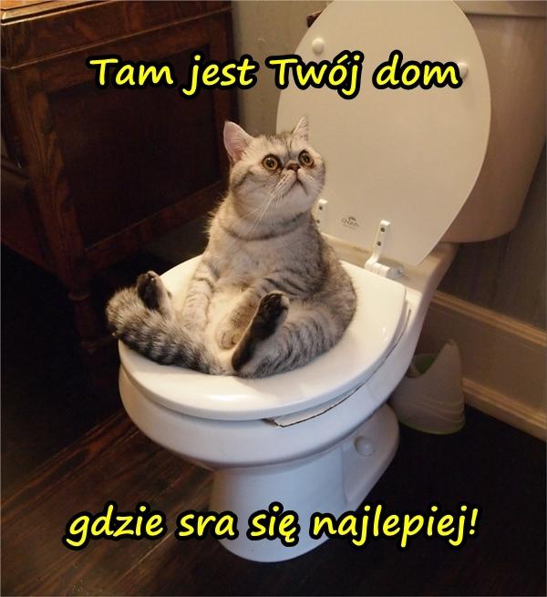 Tam jest Twój dom gdzie sra się najlepiej