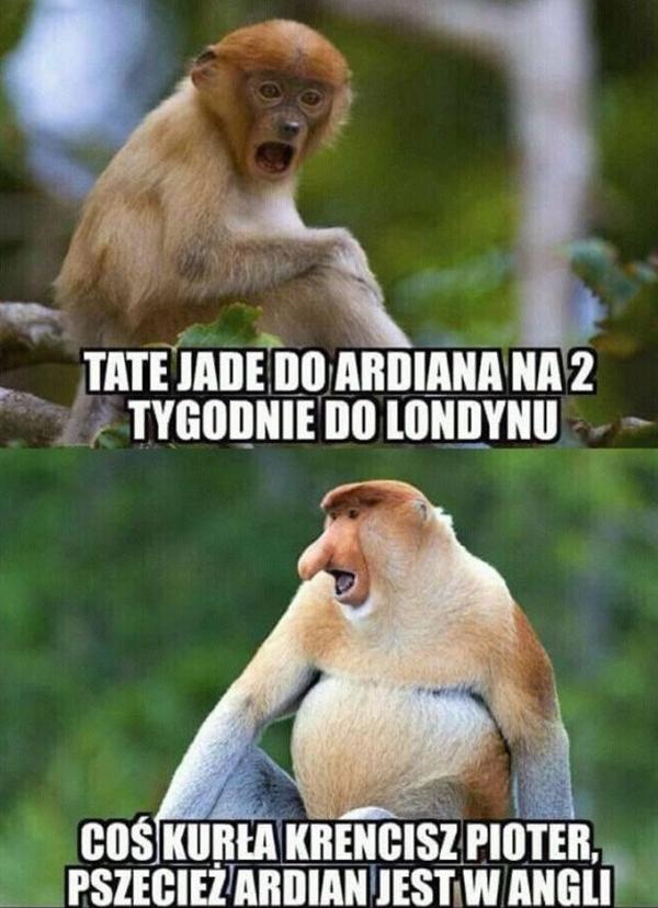 - Tate, jadę do Adriana na 2 tygodnie do Londynu. - Coś