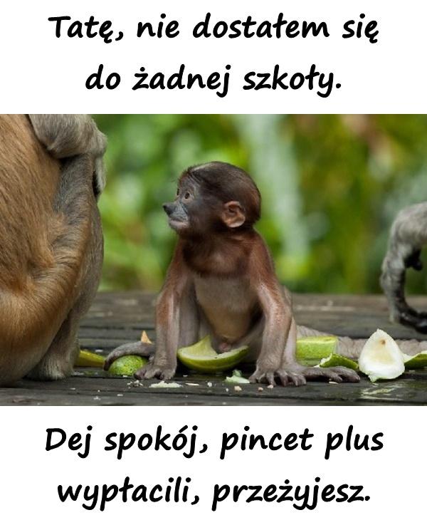 Tatę, nie dostałem się do żadnej szkoły. Dej spokój, pincet