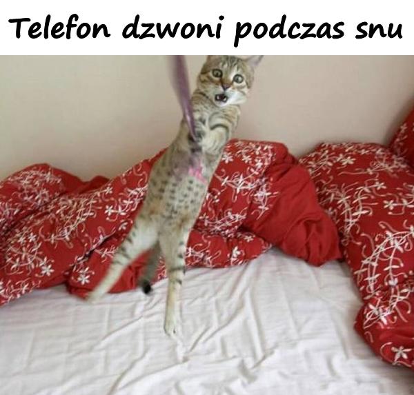 Telefon dzwoni podczas snu