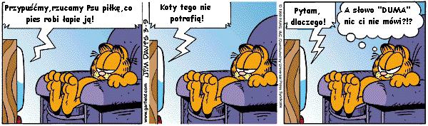 Telewizor: Przypuśćmy, rzucamy Psu piłkę, co pies robi