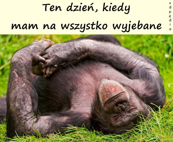 Ten dzień, kiedy mam na wszystko wyjebane