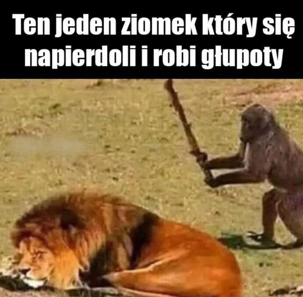 Ten jeden ziomek, który się napierdoli i robi głupoty