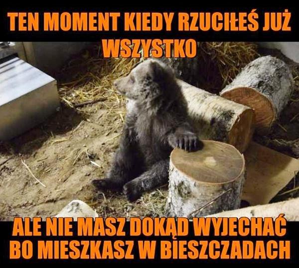 Ten moment kiedy rzuciłeś już wszystko, ale nie masz dokąd