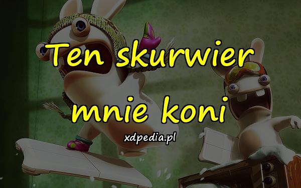 Ten skurwier mnie koni