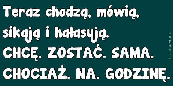 Teraz chodzą, mówią, sikają i hałasują. CHCĘ. ZOSTAĆ. SAMA