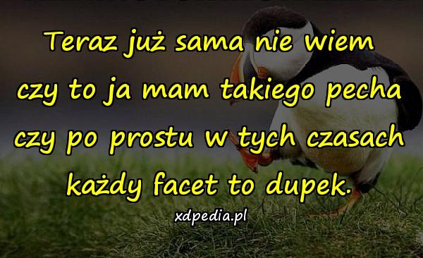 Teraz już sama nie wiem czy to ja mam takiego pecha czy po