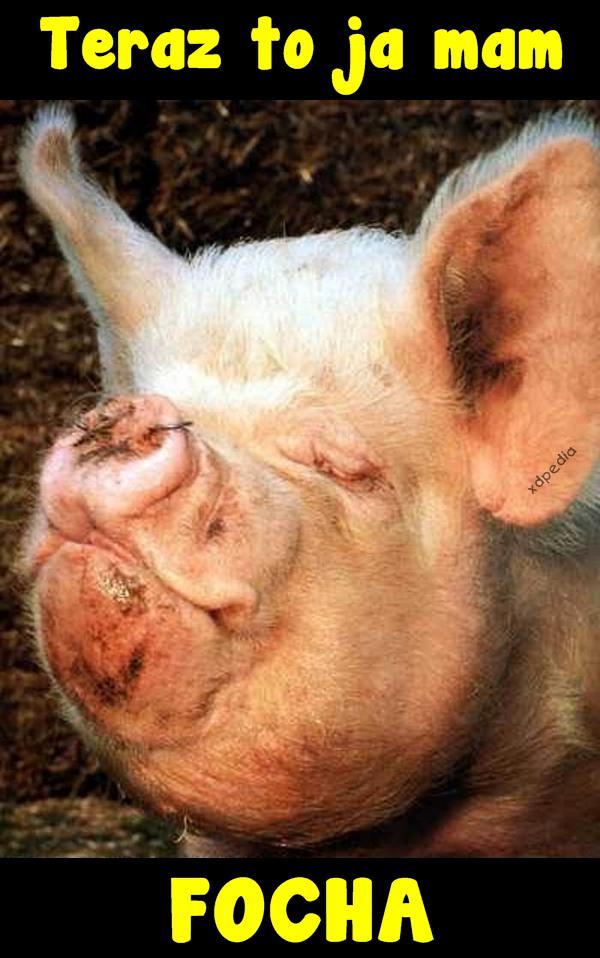 Teraz to ja mam FOCHA