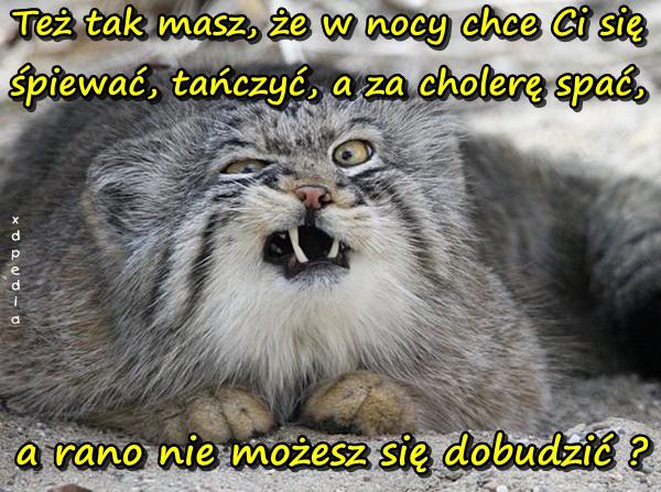 Też tak masz, że w nocy chce Ci się śpiewać, tańczyć, a za