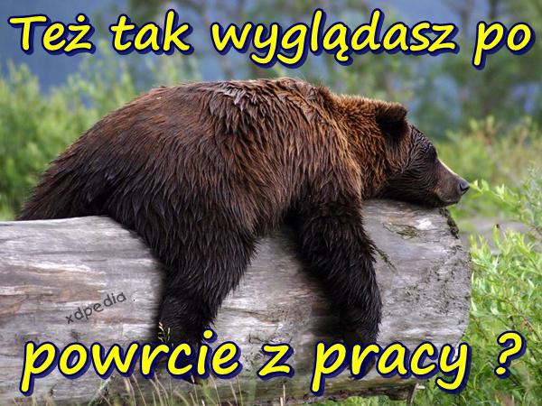 Też tak wyglądasz po powrcie z pracy