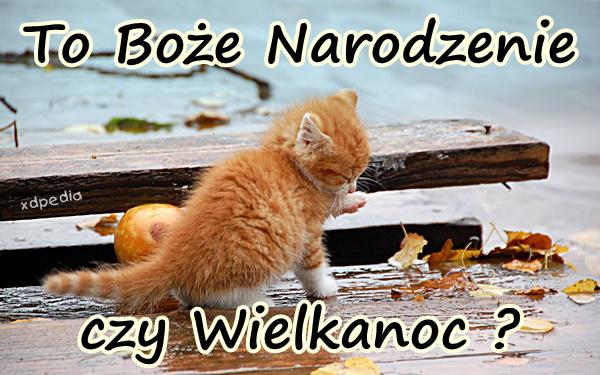 To Boże Narodzenie czy Wielkanoc