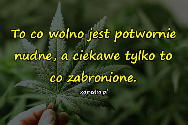 To co wolno jest potwornie nudne, a ciekawe tylko to co