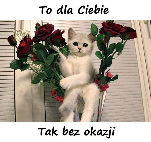 To dla Ciebie. Tak bez okazji