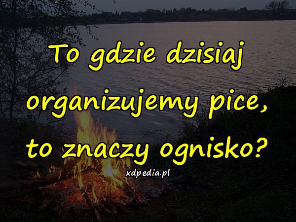 To gdzie dzisiaj organizujemy pice, to znaczy ognisko