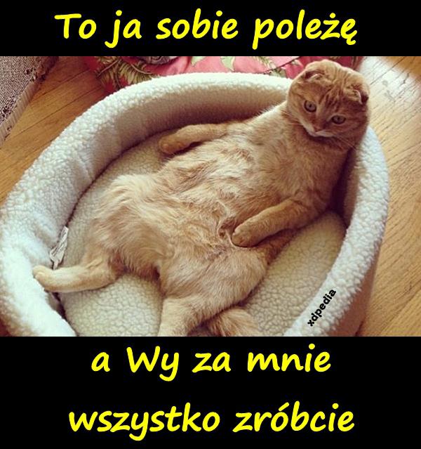 To ja sobie poleżę a Wy za mnie wszystko zróbcie