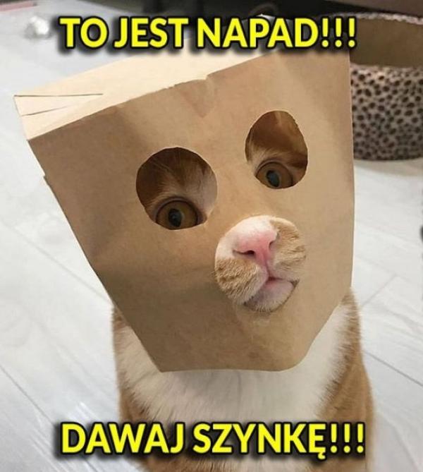 To jest napad! Dawaj szynkę