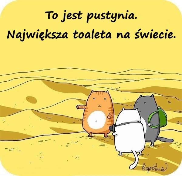 To jest pustynia. Największa toaleta na świecie