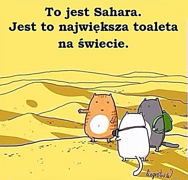 To jest Sahara. To największa toaleta na świecie