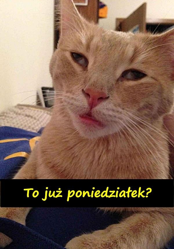 To już poniedziałek