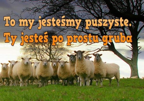 To my jesteśmy puszyste. Ty jesteś po prostu gruba