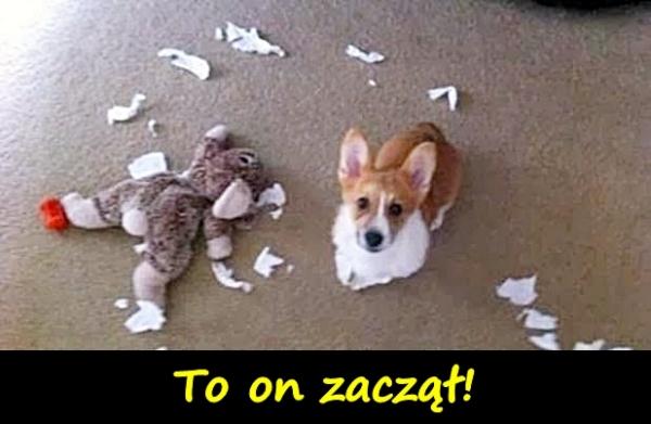 To on zaczął