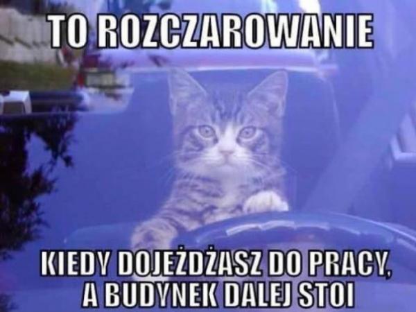 To rozczarowanie, kiedy dojedziesz do pracy, a budynek