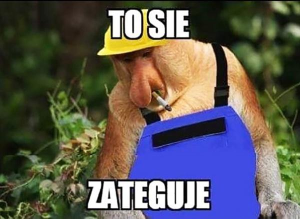 To się zateguje