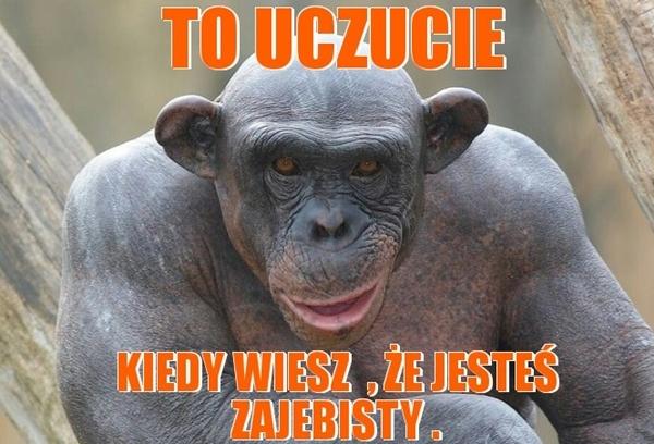 To uczucie kiedy wiesz, że jesteś zajebisty