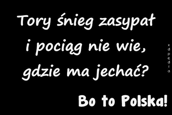 Tory śnieg zasypał i pociąg nie wie, gdzie ma jechać? Bo to