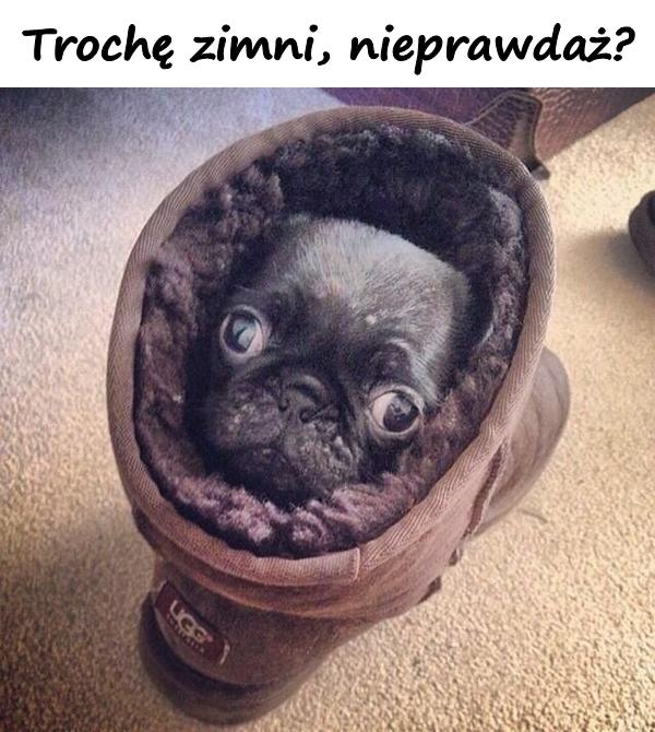 Trochę zimni, nieprawdaż