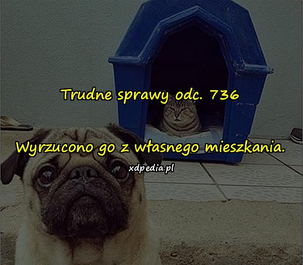 Trudne sprawy odc. 736 Wyrzucono go z własnego mieszkania