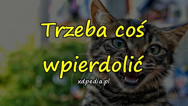 Trzeba coś wpierdolić