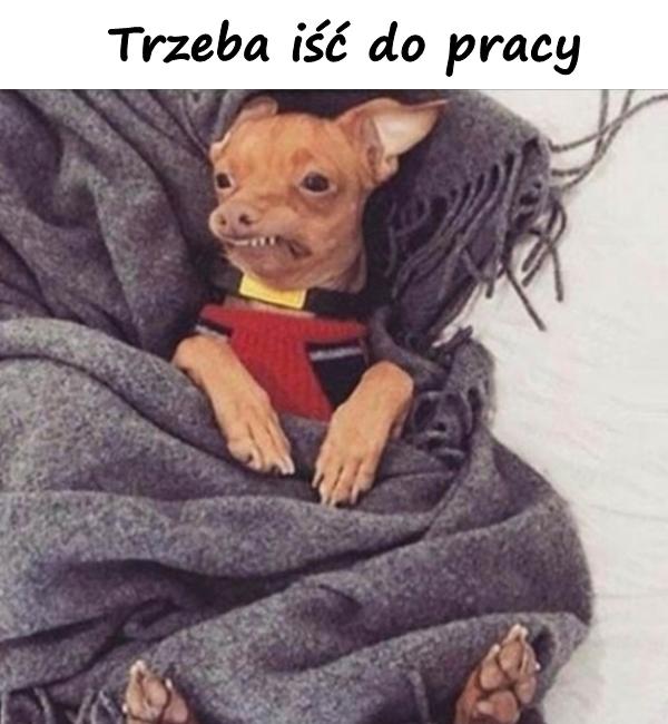 Trzeba iść do pracy