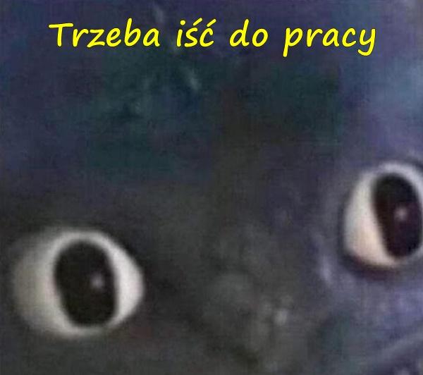 Trzeba iść do pracy