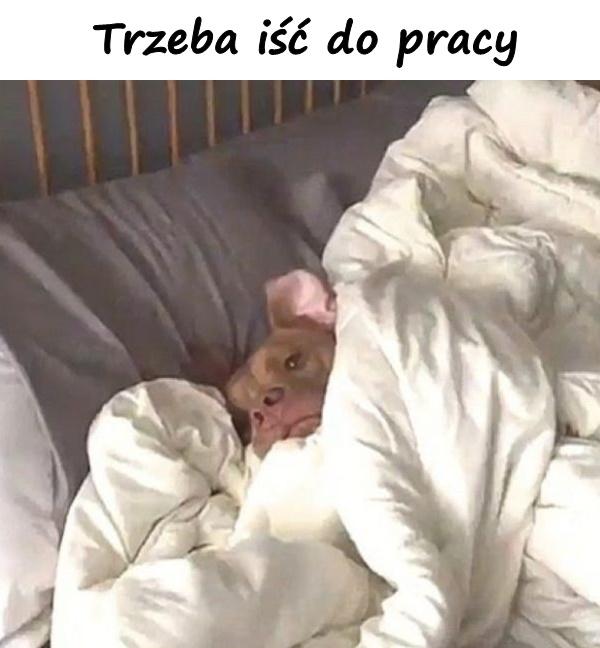 Trzeba iść do pracy