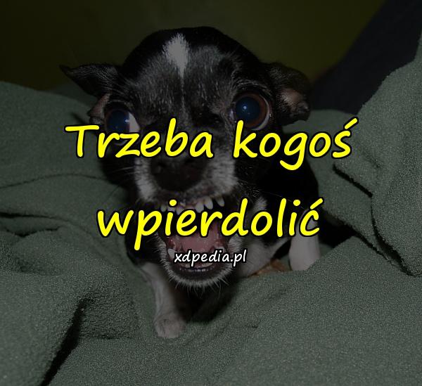 Trzeba kogoś wpierdolić