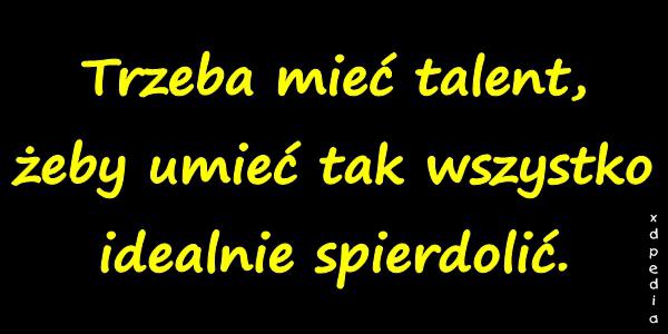 Trzeba mieć talent, żeby umieć tak wszystko idealnie