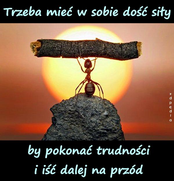 Trzeba mieć w sobie dość siły, by pokonać trudności i iść