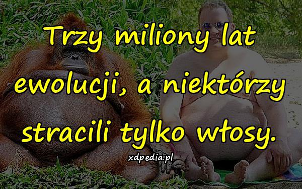 Trzy miliony lat ewolucji, a niektórzy stracili tylko włosy