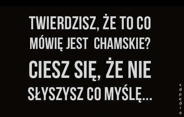 Twierdzisz, że to co mówię jest chamskie? Ciesz się, że nie