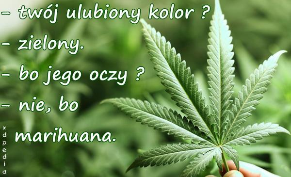 - twój ulubiony kolor? - zielony. - bo jego oczy? - nie, bo