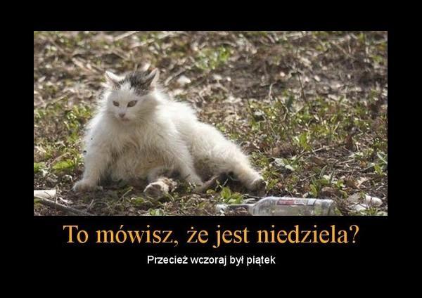 Ty mówisz, że jest niedziela? Przecież wczoraj był piątek