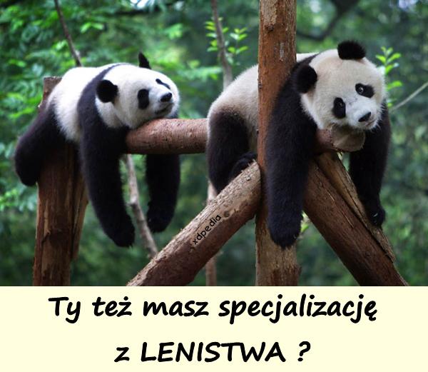 Ty też masz specjalizację z LENISTWA